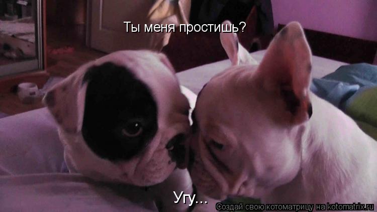 Ты меня простишь? Угу...... Котоматрица: Ты меня простишь? Угу...