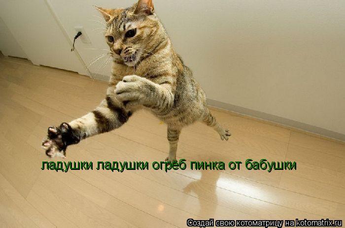 ладушки ладушки огрёб пинка от бабушки... Котоматрица: ладушки ладушки огрёб пинка от бабушки