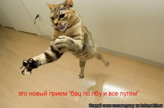 это новый прием "бац по лбу и все путём"... Котоматрица: это новый прием "бац по лбу и все путём"