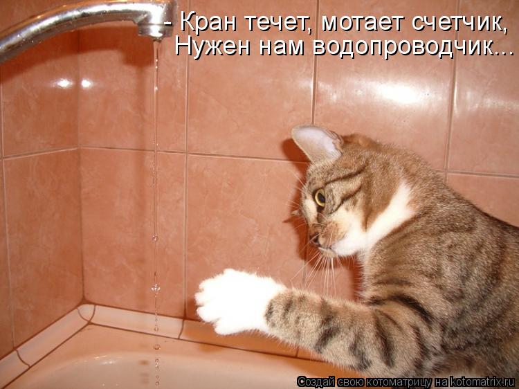 - Кран течет, мотает счетчик, Нужен нам водопроводчик...... Котоматрица: - Кран течет, мотает счетчик, Нужен нам водопроводчик...
