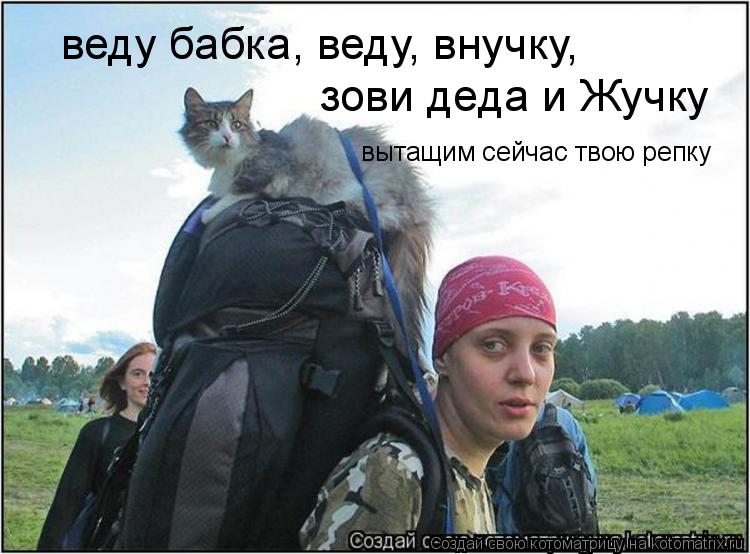 веду бабка, веду, внучку, зови деда и Жучку вытащим сейчас твою репку... Котоматрица: веду бабка, веду, внучку, зови деда и Жучку вытащим сейчас твою репку