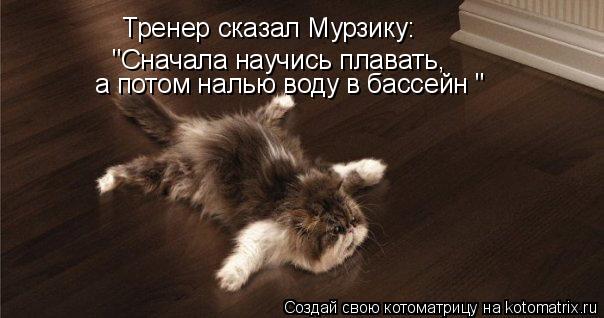 Тренер сказал Мурзику: "Сначала научись плавать, а потом налью воду в бассейн "... Котоматрица: Тренер сказал Мурзику: "Сначала научись плавать, а потом налью воду в бассейн "