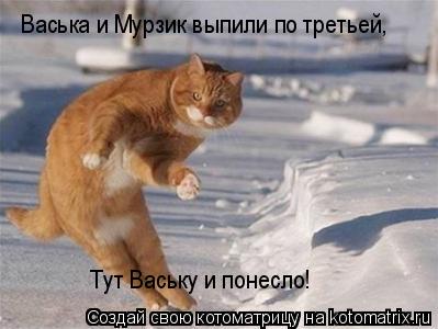 Васька и Мурзик выпили по третьей, Тут Ваську и понесло!... Котоматрица: Васька и Мурзик выпили по третьей, Тут Ваську и понесло!