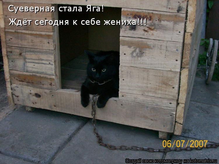 Суеверная стала Яга! Ждёт сегодня к себе жениха!!!... Котоматрица: Суеверная стала Яга! Ждёт сегодня к себе жениха!!!