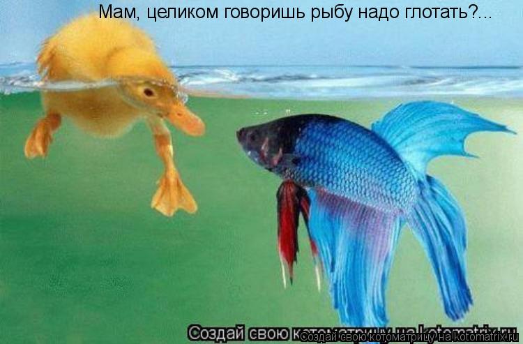 Мам, целиком говоришь рыбу надо глотать?...... Котоматрица: Мам, целиком говоришь рыбу надо глотать?...