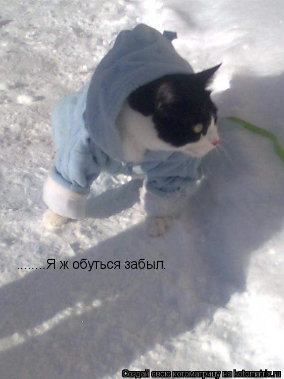 ........Я ж обуться забыл.... Котоматрица: ........Я ж обуться забыл.