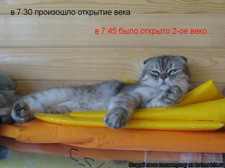 в 7:30 произошло открытие века в 7:45 было открыто 2-ое веко... Котоматрица: в 7:30 произошло открытие века в 7:45 было открыто 2-ое веко