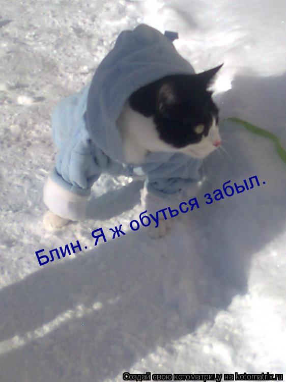 Блин. Я ж обуться забыл.... Котоматрица: Блин. Я ж обуться забыл.