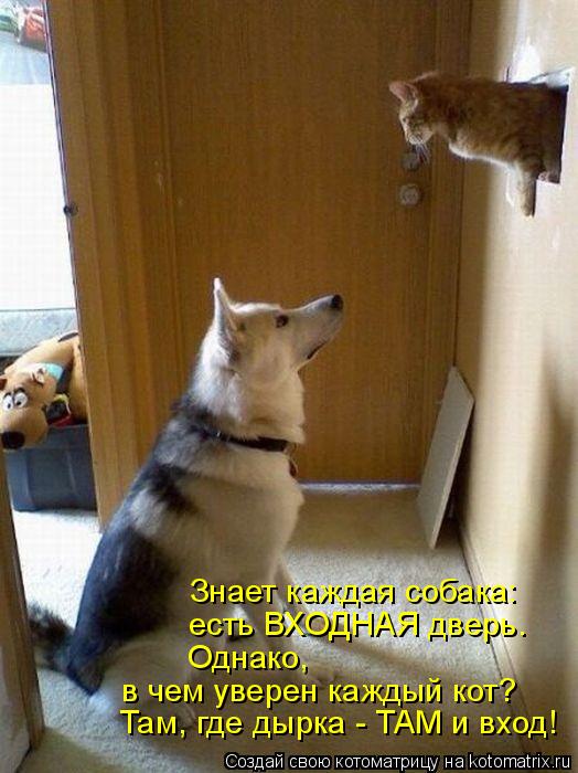 Знает каждая собака: есть ВХОДНАЯ дверь. Однако, Там, где дырка - ТАМ и вход! в чем уверен каждый кот... Котоматрица: Знает каждая собака: есть ВХОДНАЯ дверь. Однако, Там, где дырка - ТАМ и вход! в чем уверен каждый кот?