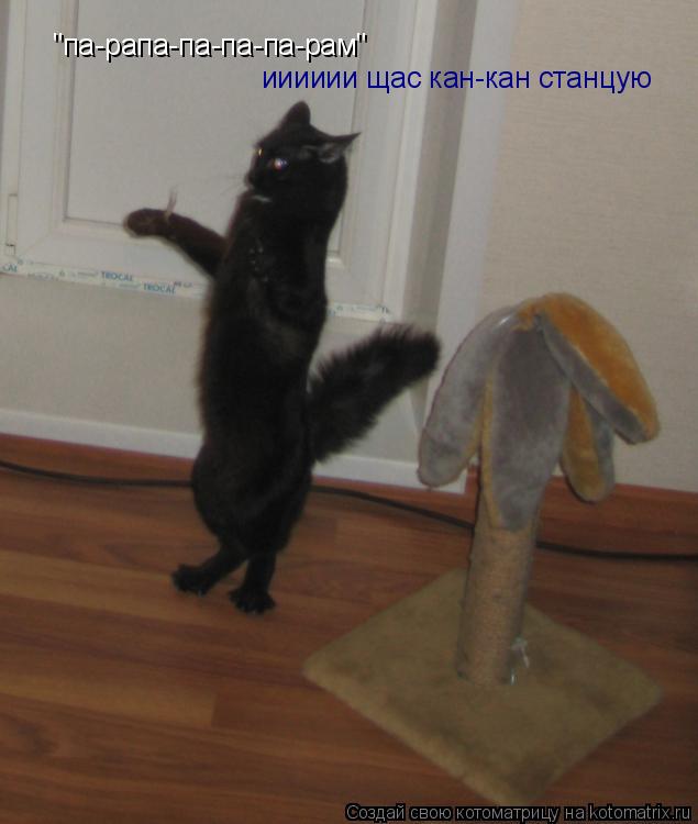 "па-рапа-па-па-па-рам" ииииии щас кан-кан станцую... Котоматрица: "па-рапа-па-па-па-рам" ииииии щас кан-кан станцую