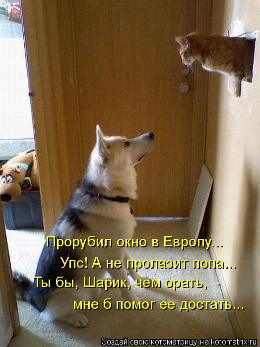 Прорубил окно в Европу... Упс! А не пролазит попа... Ты бы, Шарик, чем орать, мне б помог ее достать... Котоматрица: Прорубил окно в Европу... Упс! А не пролазит попа... Ты бы, Шарик, чем орать, мне б помог ее достать...