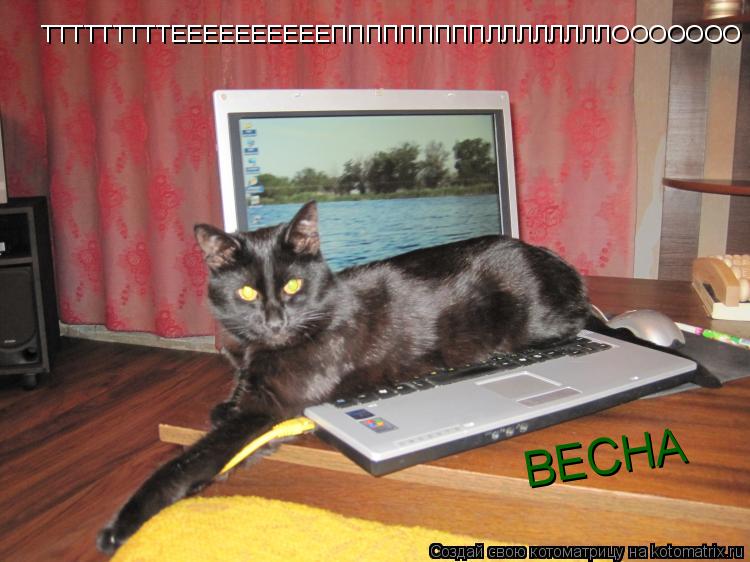ТТТТТТТТТЕЕЕЕЕЕЕЕЕЕПППППППППЛЛЛЛЛЛЛЛООООООО ВЕСНА... Котоматрица: ТТТТТТТТТЕЕЕЕЕЕЕЕЕЕПППППППППЛЛЛЛЛЛЛЛООООООО ВЕСНА