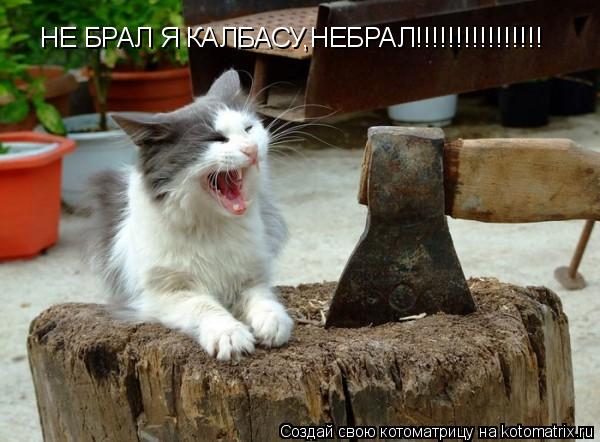 НЕ БРАЛ Я КАЛБАСУ,НЕБРАЛ!!!!!!!!!!!!!!!!... Котоматрица: НЕ БРАЛ Я КАЛБАСУ,НЕБРАЛ!!!!!!!!!!!!!!!!