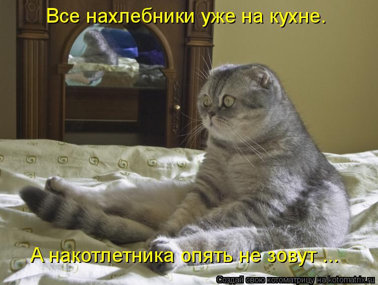 Котоматрица: Все нахлебники уже на кухне. А накотлетника опять не зовут ...