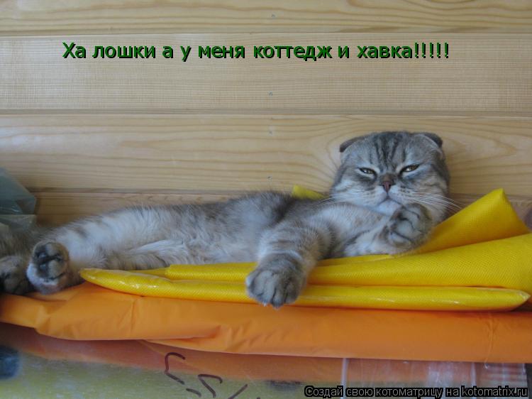 Ха лошки а у меня коттедж и хавка!!!!!... Котоматрица: Ха лошки а у меня коттедж и хавка!!!!!