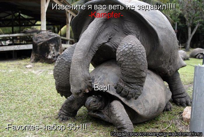 Извените я вас веть не задавил!!!! -Favorites- набор 55+!!! Вар! -Kampfer-... Котоматрица: Извените я вас веть не задавил!!!! -Favorites- набор 55+!!! Вар! -Kampfer-
