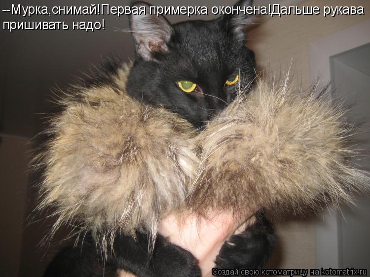 --Мурка,снимай!Первая примерка окончена!Дальше рукава пришивать надо!... Котоматрица: --Мурка,снимай!Первая примерка окончена!Дальше рукава пришивать надо!