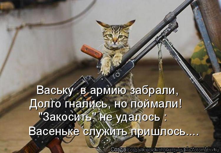 Ваську в армию забрали, Долго гнались, но поймали! "Закосить" не удалось : Васеньке служить пришлось... Котоматрица: Ваську в армию забрали, Долго гнались, но поймали! "Закосить" не удалось : Васеньке служить пришлось....