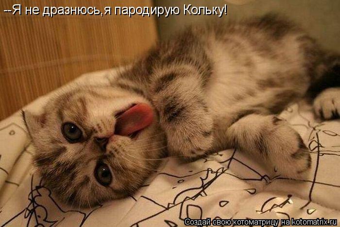 --Я не дразнюсь,я пародирую Кольку!... Котоматрица: --Я не дразнюсь,я пародирую Кольку!