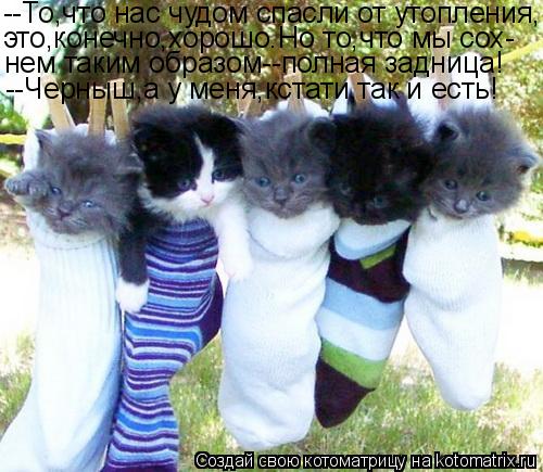 --То,что нас чудом спасли от утопления, это,конечно,хорошо.Но то,что мы сох- нем таким образом--полна... Котоматрица: --То,что нас чудом спасли от утопления, это,конечно,хорошо.Но то,что мы сох- нем таким образом--полная задница! --Черныш,а у меня,кстати,так и ес