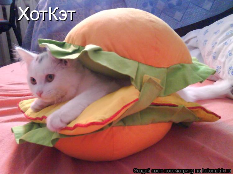 ХотКэт... Котоматрица: ХотКэт