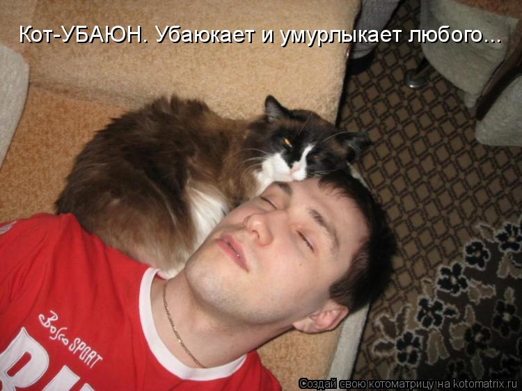 Кот-УБАЮН. Убаюкает и умурлыкает любого...... Котоматрица: Кот-УБАЮН. Убаюкает и умурлыкает любого...