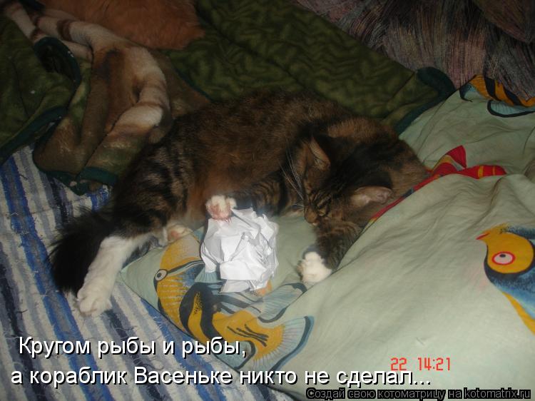 Кругом рыбы и рыбы, а кораблик Васеньке никто не сделал...... Котоматрица: Кругом рыбы и рыбы, а кораблик Васеньке никто не сделал...