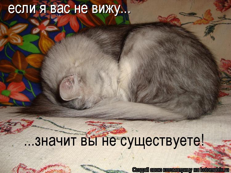 если я вас не вижу... ...значит вы не существуете!... Котоматрица: если я вас не вижу... ...значит вы не существуете!