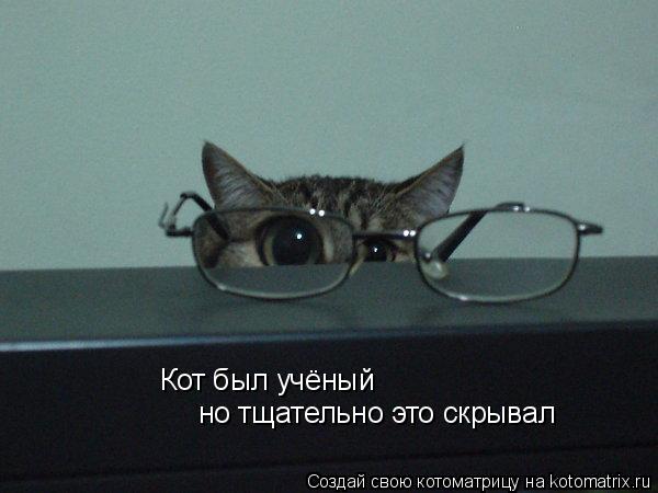 Кот был учёный но тщательно это скрывал... Котоматрица: Кот был учёный но тщательно это скрывал