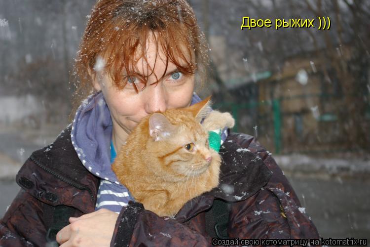Двое рыжих )))... Котоматрица: Двое рыжих )))