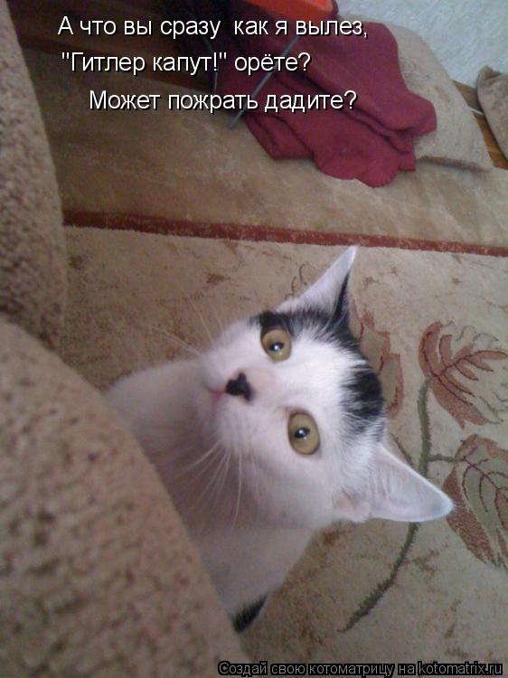 А что вы сразу как я вылез, "Гитлер капут!" орёте? Может пожрать дадите?... Котоматрица: А что вы сразу как я вылез, "Гитлер капут!" орёте? Может пожрать дадите?