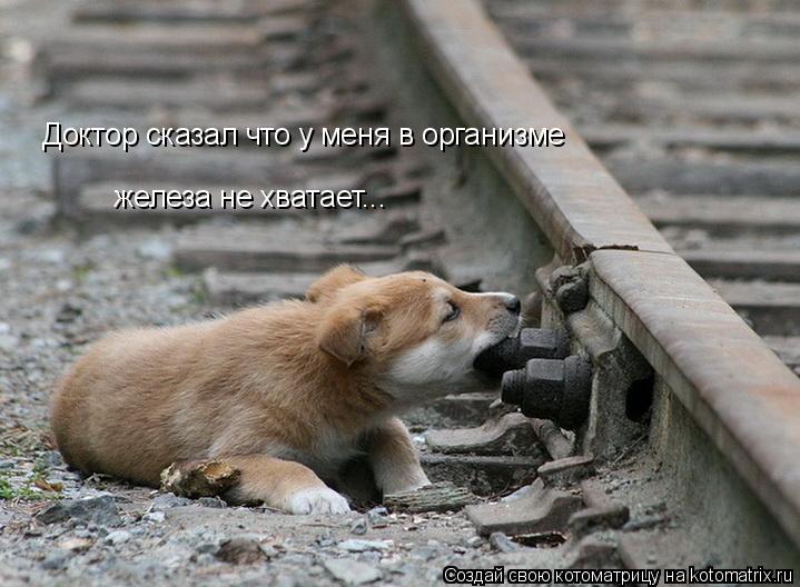 Доктор сказал что у меня в организме железа не хватает...... Котоматрица: Доктор сказал что у меня в организме железа не хватает...