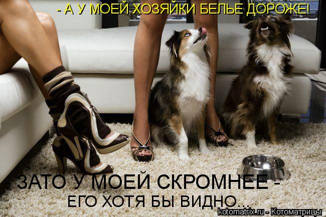- А У МОЕЙ ХОЗЯЙКИ БЕЛЬЕ ДОРОЖЕ! - ЗАТО У МОЕЙ СКРОМНЕЕ - ЕГО ХОТЯ БЫ ВИДНО...... Котоматрица: - А У МОЕЙ ХОЗЯЙКИ БЕЛЬЕ ДОРОЖЕ! - ЗАТО У МОЕЙ СКРОМНЕЕ - ЕГО ХОТЯ БЫ ВИДНО...