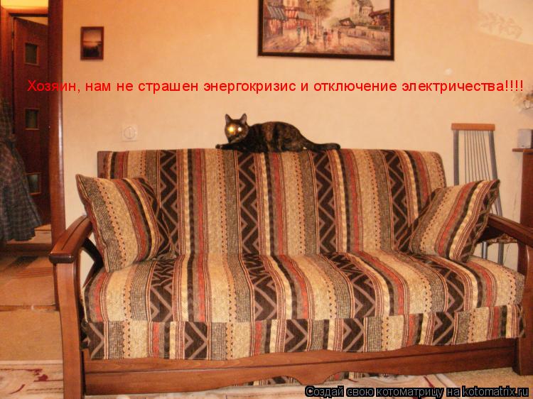 Хозяин, нам не страшен энергокризис и отключение электричества!!!!... Котоматрица: Хозяин, нам не страшен энергокризис и отключение электричества!!!!