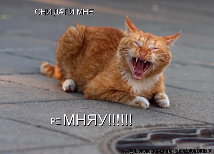 ОНИ ДАЛИ МНЕ РЕ МНЯУ!!!!!!... Котоматрица: ОНИ ДАЛИ МНЕ РЕ МНЯУ!!!!!!