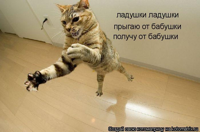 ладушки ладушки прыгаю от бабушки получу от бабушки... Котоматрица: ладушки ладушки прыгаю от бабушки получу от бабушки