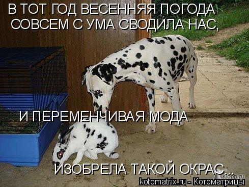 В ТОТ ГОД ВЕСЕННЯЯ ПОГОДА СОВСЕМ С УМА СВОДИЛА НАС, И ПЕРЕМЕНЧИВАЯ МОДА ИЗОБРЕЛА ТАКОЙ ОКРАС...... Котоматрица: В ТОТ ГОД ВЕСЕННЯЯ ПОГОДА СОВСЕМ С УМА СВОДИЛА НАС, И ПЕРЕМЕНЧИВАЯ МОДА ИЗОБРЕЛА ТАКОЙ ОКРАС...
