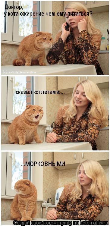 Доктор, у кота ожирение чем ему питаться? сказал котлетами.... ...МОРКОВНЫМИ... Котоматрица: Доктор, у кота ожирение чем ему питаться? сказал котлетами.... ...МОРКОВНЫМИ