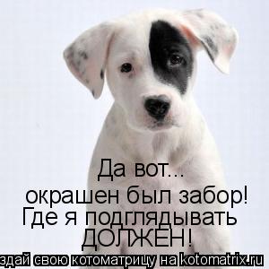 Да вот... окрашен был забор! Где я подглядывать ДОЛЖЕН!... Котоматрица: Да вот... окрашен был забор! Где я подглядывать ДОЛЖЕН!