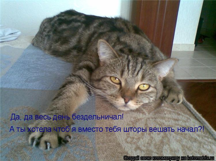 Да, да весь день бездельничал! А ты хотела чтоб я вместо тебя шторы вешать начал?!... Котоматрица: Да, да весь день бездельничал! А ты хотела чтоб я вместо тебя шторы вешать начал?!