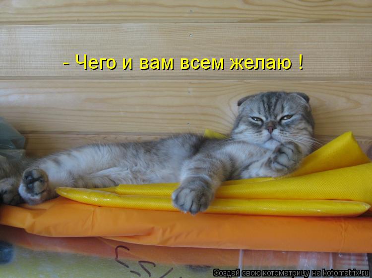 - Чего и вам всем желаю !... Котоматрица: - Чего и вам всем желаю !
