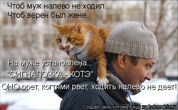 Чтоб муж налево не ходил... Чтоб верен был жене.. На муже установлена... "СИГНАЛОЧКА - КОТЭ" ОНО орет... Котоматрица: Чтоб муж налево не ходил... Чтоб верен был жене.. На муже установлена... "СИГНАЛОЧКА - КОТЭ" ОНО орет, когтями рвет, ходить налево не дает!