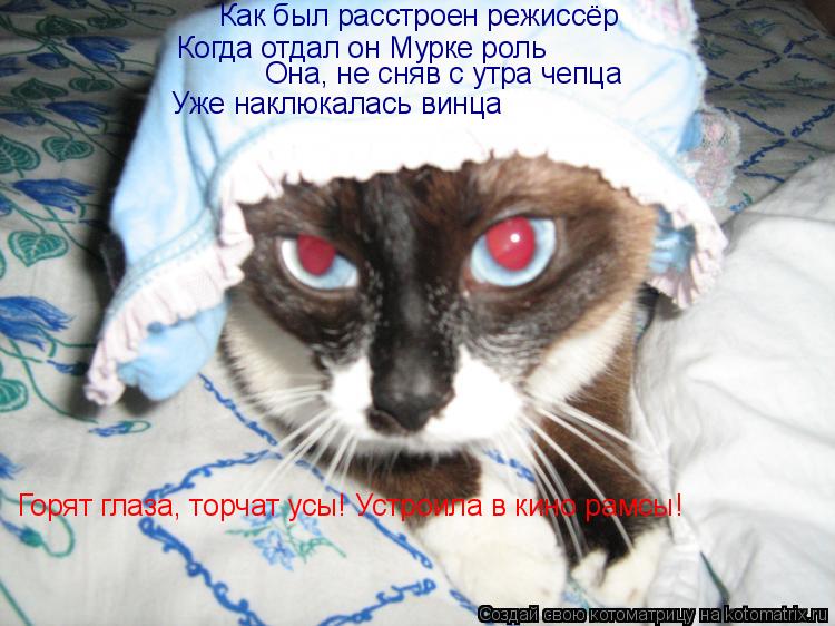 Как был расстроен режиссёр Когда отдал он Мурке роль Она, не сняв с утра чепца Уже наклюкалась винца ... Котоматрица: Как был расстроен режиссёр Когда отдал он Мурке роль Она, не сняв с утра чепца Уже наклюкалась винца Горят глаза, торчат усы! Устроила в кино