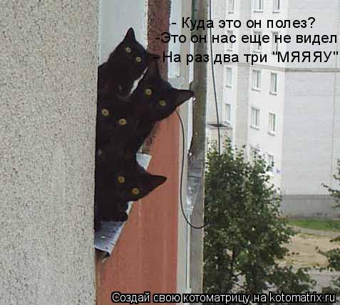 - Куда это он полез? -Это он нас еще не видел - На раз два три "МЯЯЯУ"... Котоматрица: - Куда это он полез? -Это он нас еще не видел - На раз два три "МЯЯЯУ"