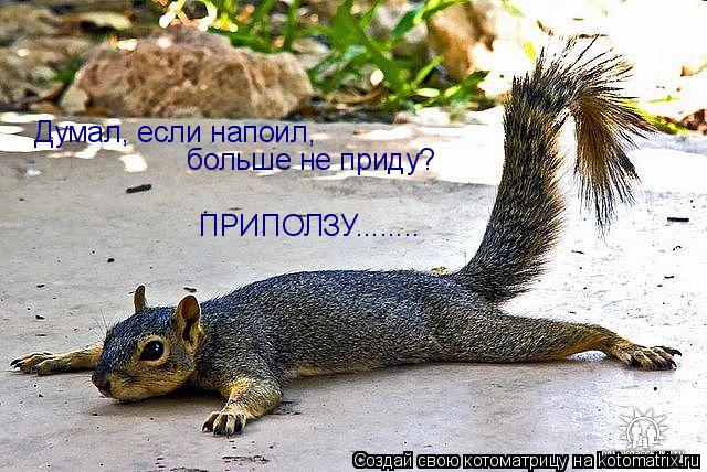 Думал, если напоил, больше не приду? ПРИПОЛЗУ........... Котоматрица: Думал, если напоил, больше не приду? ПРИПОЛЗУ........