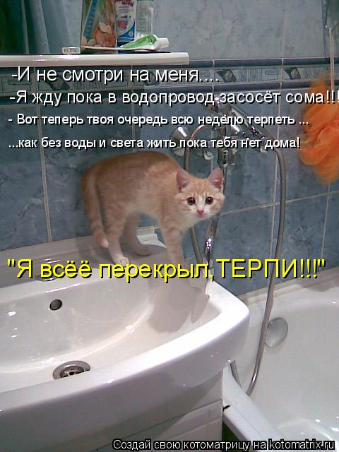 -И не смотри на меня.... -Я жду пока в водопровод засосёт сома!!! - Вот теперь твоя очередь всю недел... Котоматрица: -И не смотри на меня.... -Я жду пока в водопровод засосёт сома!!! - Вот теперь твоя очередь всю неделю терпеть ... ...как без воды и света жить пока