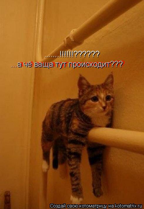 .......!!!!!!?????? ...а чё ваща тут происходит??? ...а чё ваща тут происходит???... Котоматрица: .......!!!!!!?????? ...а чё ваща тут происходит??? ...а чё ваща тут происходит???