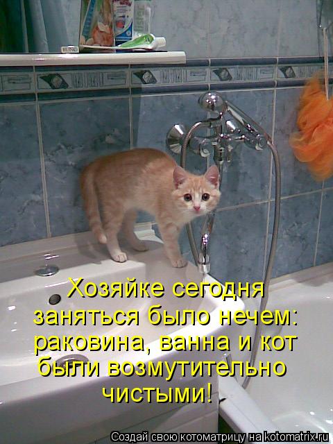 Хозяйке сегодня заняться было нечем: раковина, ванна и кот были возмутительно чистыми!... Котоматрица: Хозяйке сегодня заняться было нечем: раковина, ванна и кот были возмутительно чистыми!