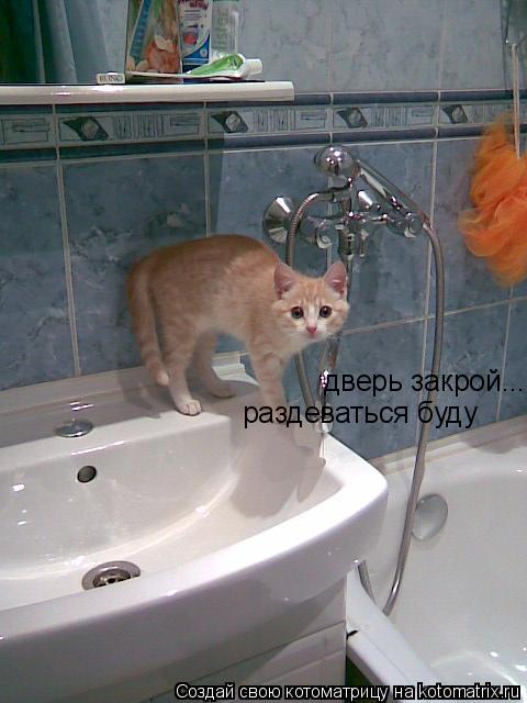 дверь закрой.... раздеваться буду... Котоматрица: дверь закрой.... раздеваться буду