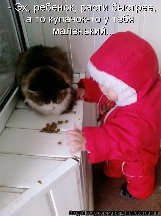Котоматрица: - Эх, ребенок, расти быстрее, а то кулачок-то у тебя маленький...